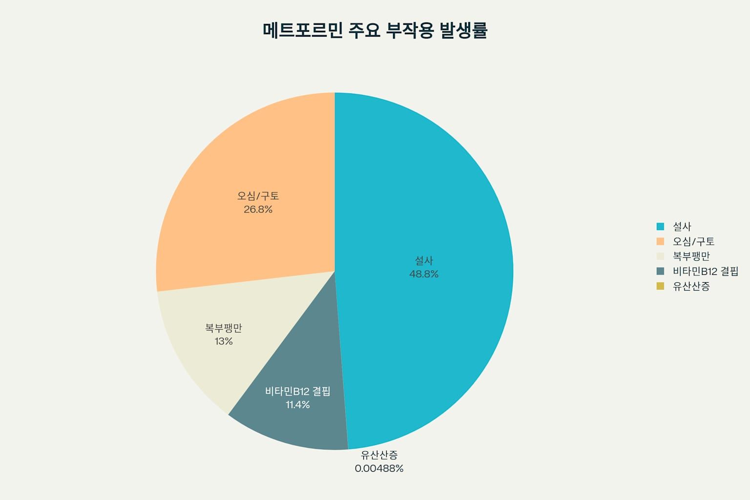 메트포르민 효과